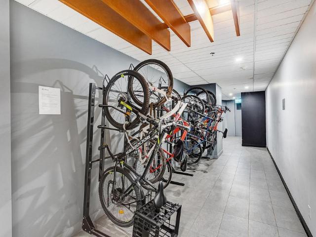 Tour d'Auteuil