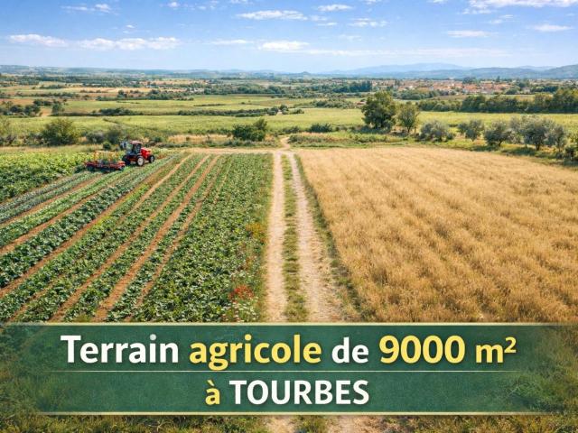 Tourbes Vente Terrain 34