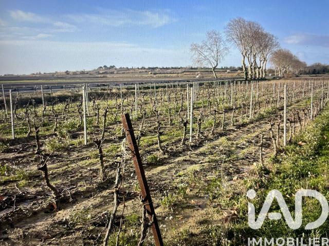 Tourbes Vente Terrain 34