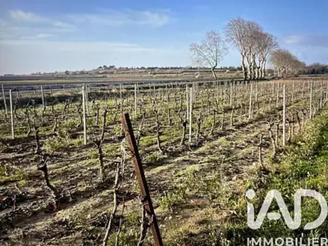 Tourbes 34120 Achat / Vente terrain