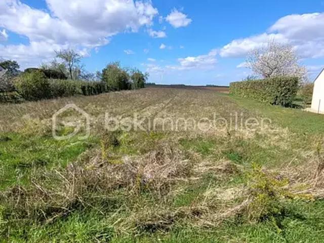 Tournoisis 45310 Achat / Vente terrain