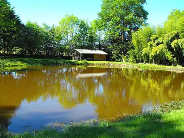 Tournon Saint Pierre 37290 Achat / Vente terrain au dernier étage