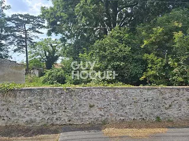 Tournan en Brie 77220 Achat / Vente terrain