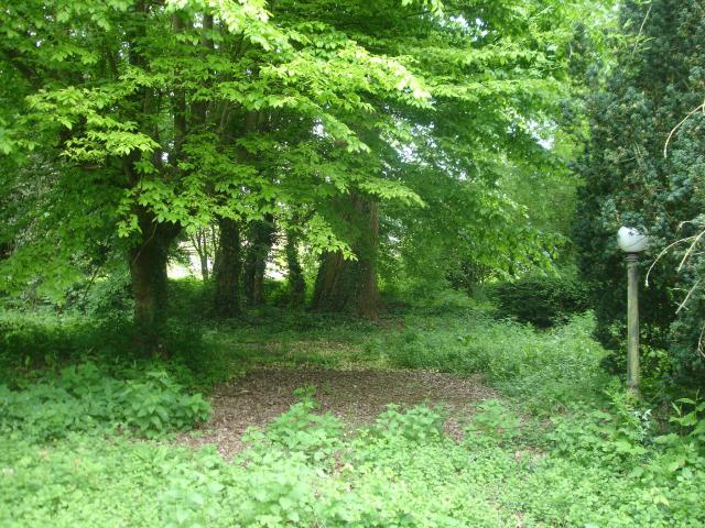 Tournan en Brie Vente Terrain 77