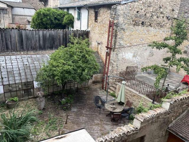 Tournus Centre Ville, Vaste Maison/Immeuble Avec Jardin Et L 250m² Tournus