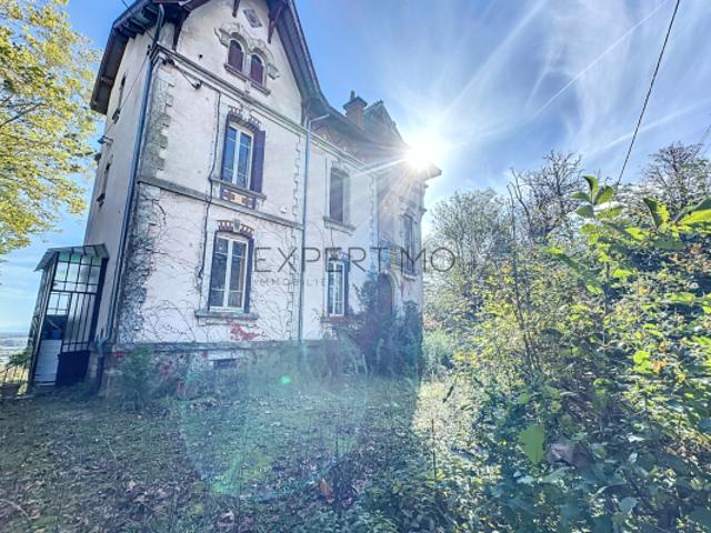 TOURNUS: Château + Maison et granges sur 1,6 hectare avec v