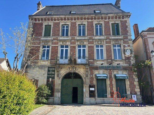 Tours sur Marne Vente Immeuble 51
