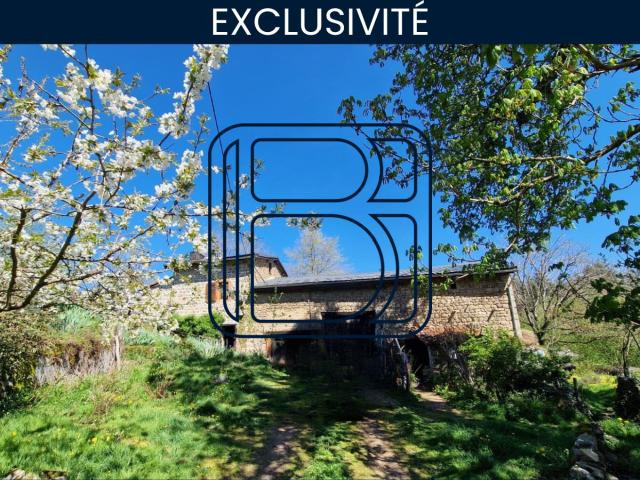 Tours sur Meymont Vente Maison 63