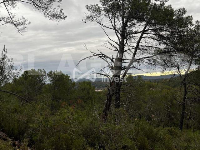 Tourves Vente Terrain 83