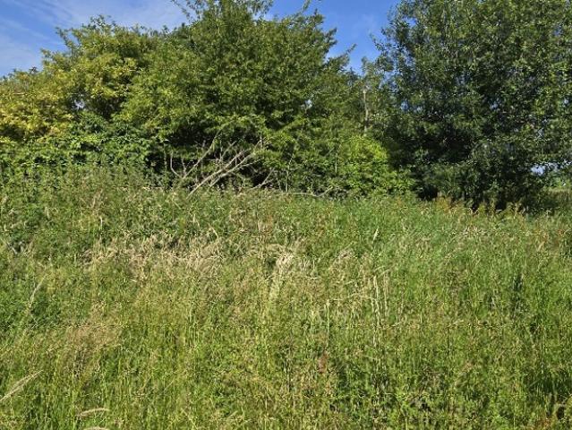 Tourville les Ifs Vente Terrain 76