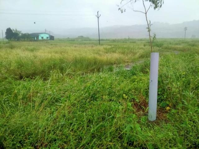 Towncity Plots In Punade,Punade Residential Plot For Sale Raigad
