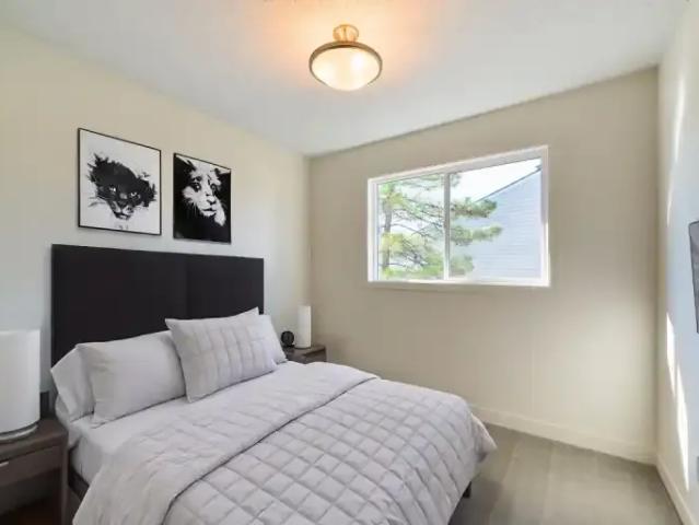 Townhouse 3 Bedroom For Rent Edmonton AB 1919 ELS102845343