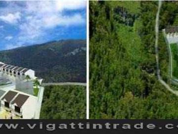 Townhouse in Divinehomes II pre selling