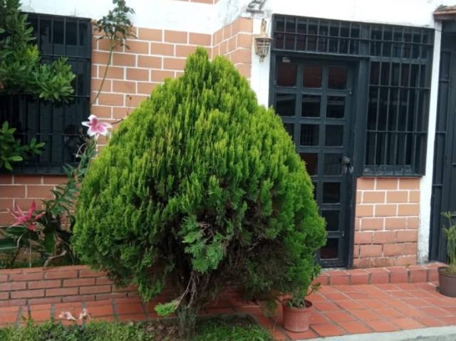 Townhouse Llano Alto Carrizal