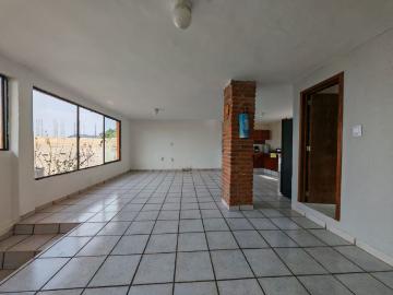 tlalpan, el faisan, Cdmx