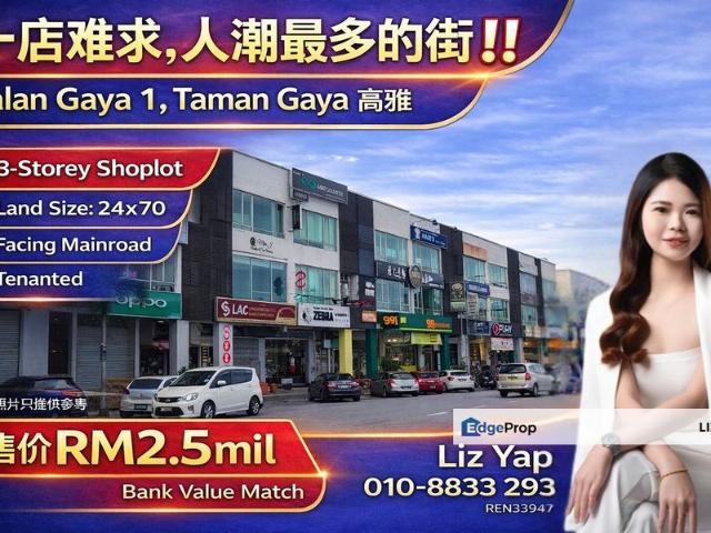 TMN GAYA