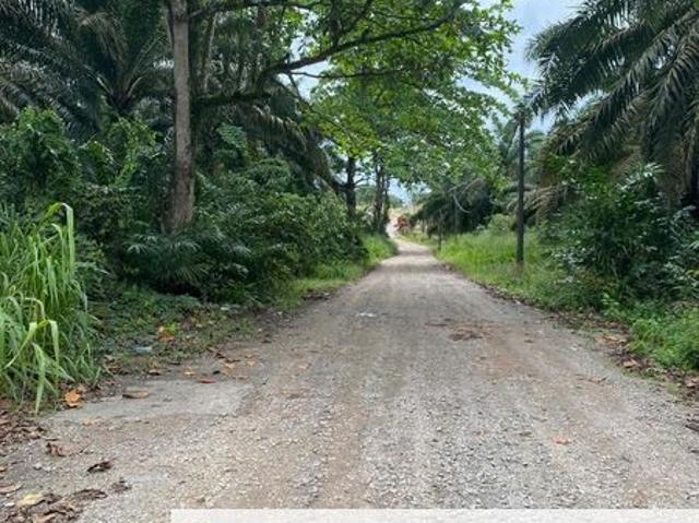 TMN KOTA TINGGI