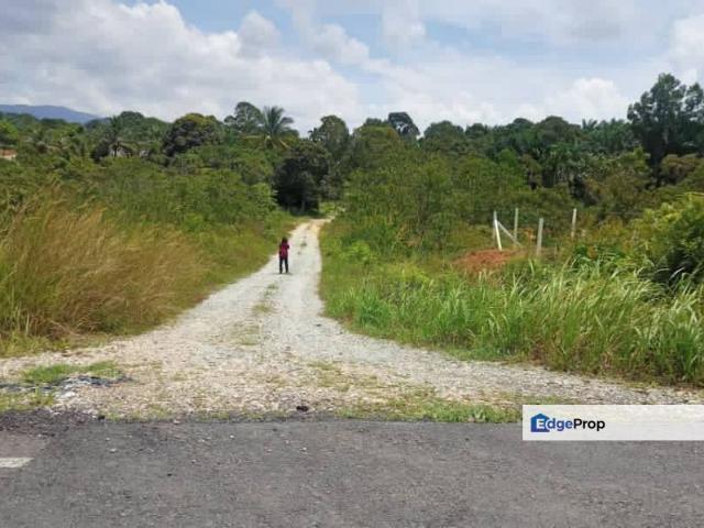 TMN KOTA TINGGI
