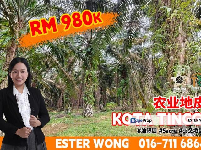TMN KOTA TINGGI