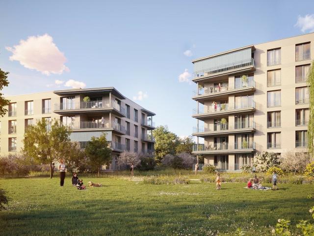Tschüss Läckerli Hallo Leben | dreamo. Ch