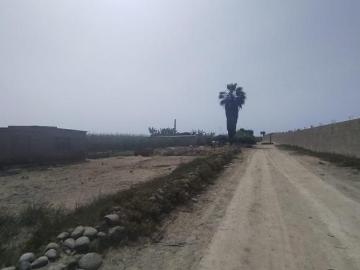 TSE VENDE TERENO EN AUCALLAMA CON ACCIONES Y DERECHOS DE 700M2