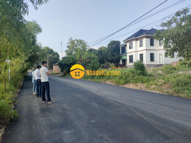 Trục chính phú cường thôn quế hướng đạo, tam dương 0968177