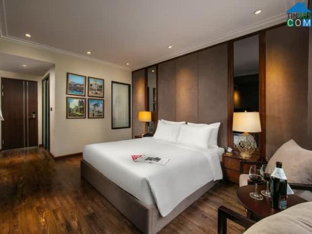 Trần Thái Tông Cầu Giấy 310m2 hai thang máy 600 triêu/ tháng. Tòa nhà 2 thang máy t