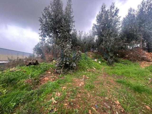 Trofa Trofa 99271840
