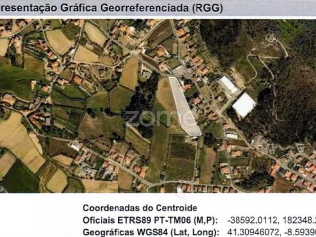 Trofa Trofa 102591541