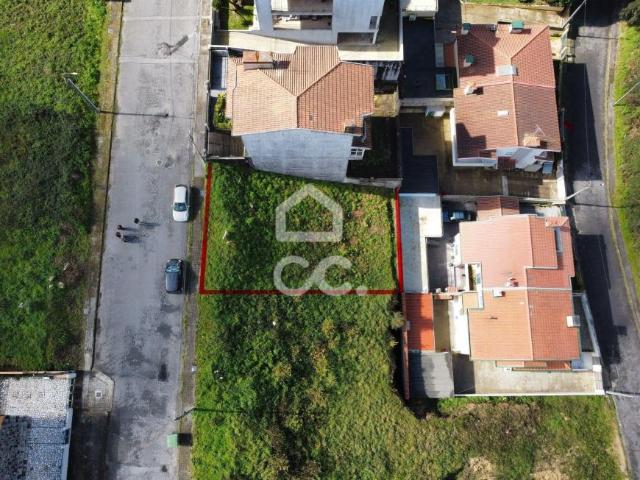 Trofa Porto 88223317