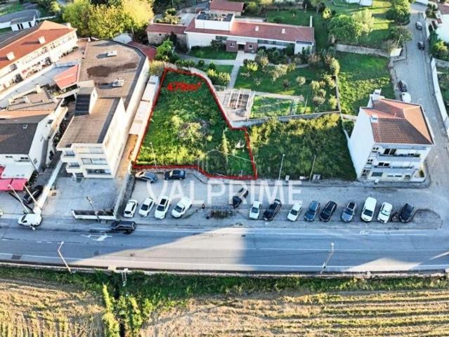Trofa Porto 95592155