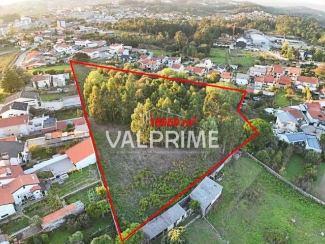 Trofa Porto 95592156