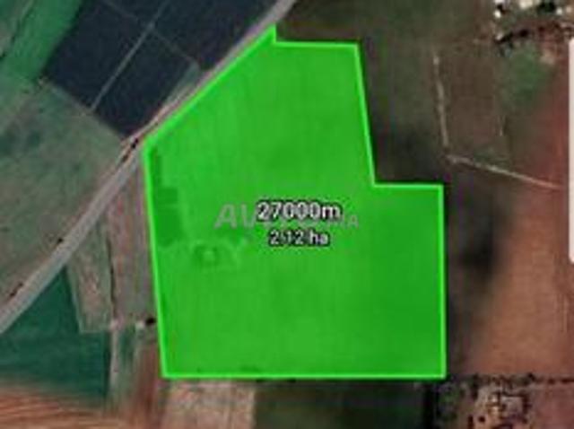 Trois terrains agricoles titre foncier