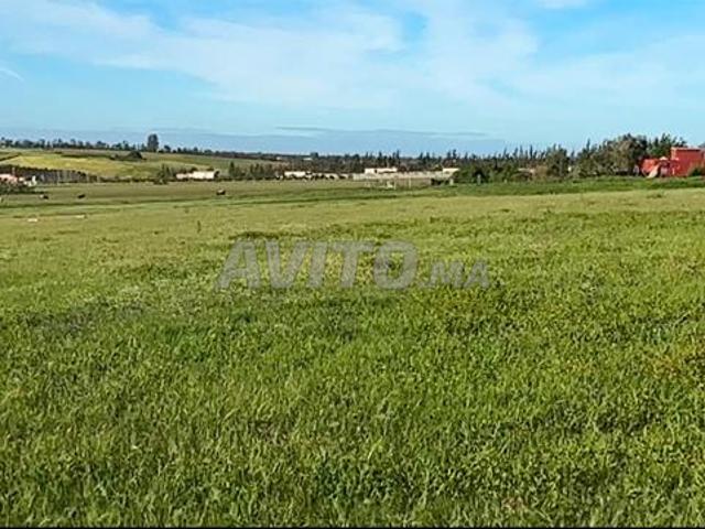Trois hectares carrés à 7km de la ville de Hamza