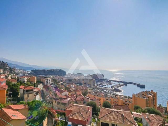 TROIS PIECES RENOVE CAP D'AIL VUE MER