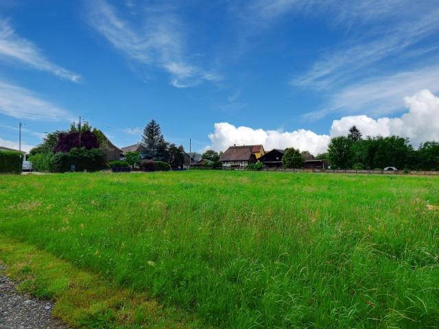 Traubach le Bas Vente Terrain 68