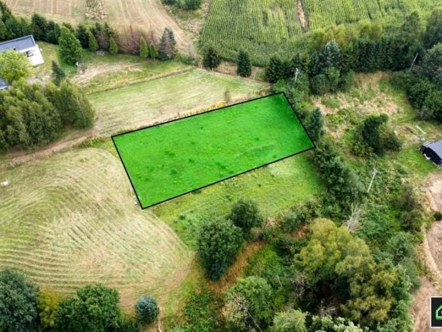 Traugutta 1 560 m², Jastrzębie Zdrój