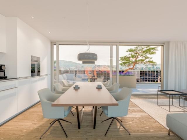 Traumattika mit viel Sonne, Aussicht, grossen Terrassen in Riehen