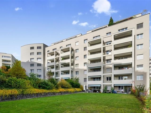 Träume werden Räume