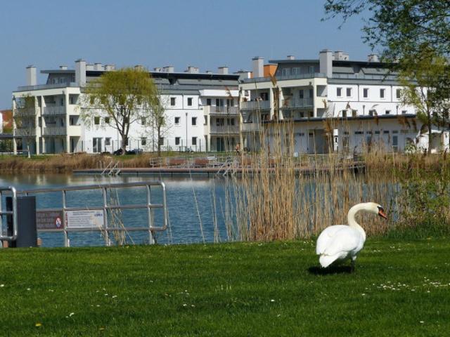 Traumhafte moderne 2 Zimmerwohnung im Seepark Vösendorf zu vermieten VÖSENDORF