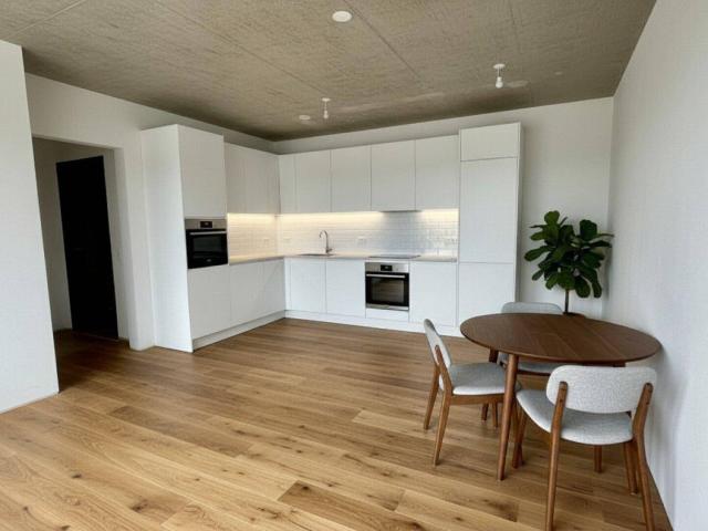 Traumhafte DG Wohnung: Erstbezug mit OST Terrasse!