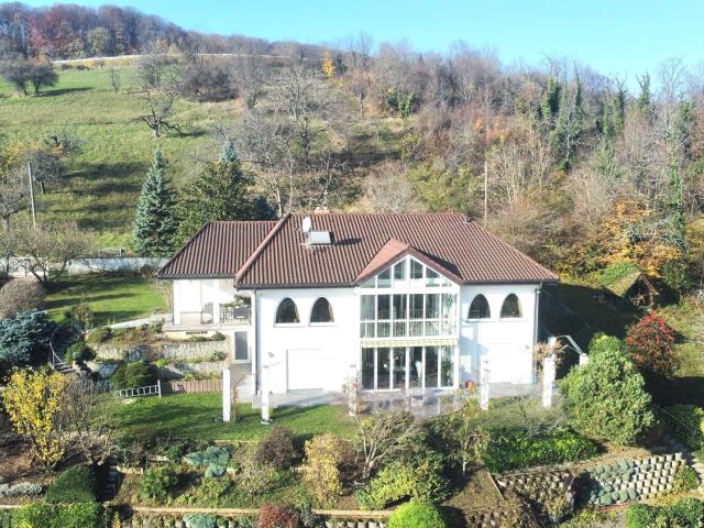 Traumhafte Panorama Aussicht über Lörrach in einer repräsentativen 280qm Villa auf dem Tüllinger Berg