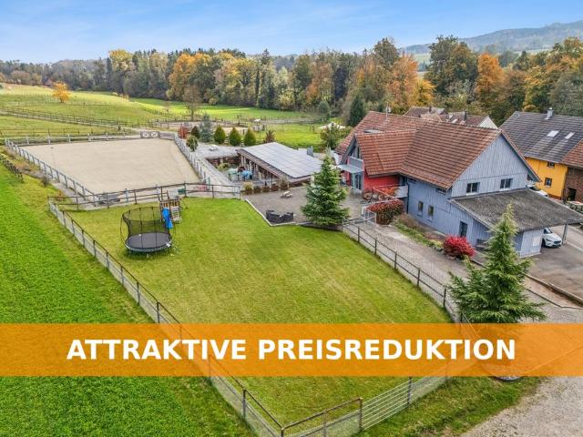 TRAUMHAFTE REITSPORTANLAGE MIT VERSCHIEDENEN BEWEGUNGSFLÄCHEN UND VIEL WEIDELAND IN DOTNACHT