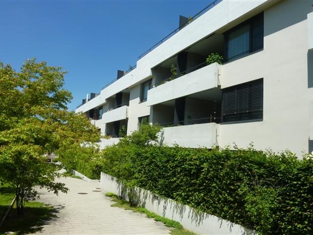 Traumhafte Wohnung an herrlicher Lage in Höngg