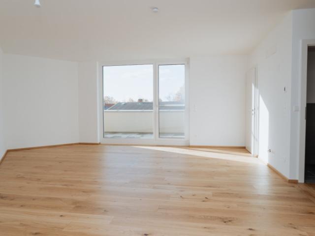 Traumhafte wohnungen beim neusiedler see provisionsfrei+ frühjahrsaktion!