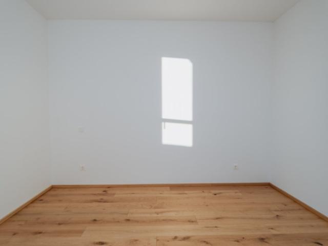 Traumhafte wohnungen beim neusiedler see provisionsfrei+ frühjahrsaktion!