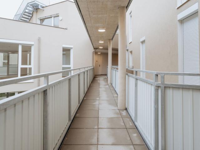 Traumhafte Wohnungen beim Neusiedler See PROVISIONSFREI+ FRÜHJAHRSAKTION!