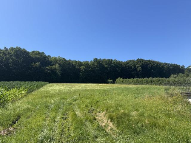 Traumhaftes Baugrundstück in Sonniger Lage Flexibel Teilbar von Ca. 900 m² bis 4.500 m²