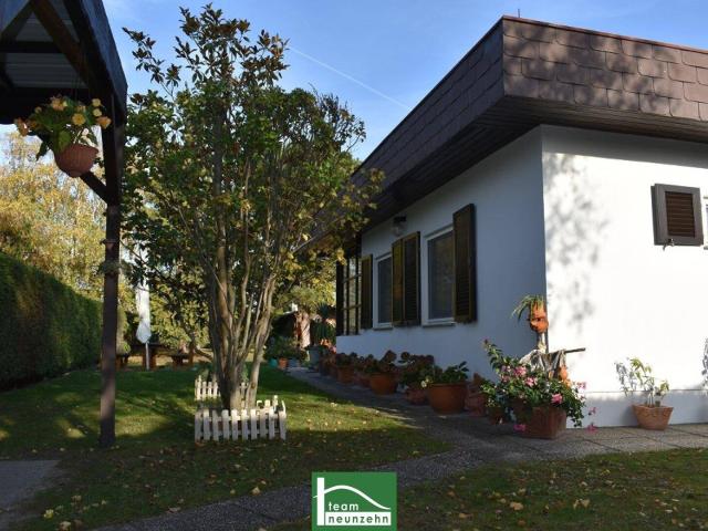 Traumhaftes Bungalow in Trausdorf: 60m² Wohnfläche, Terrasse, Carport und mehr für nur 179.000,00 €!