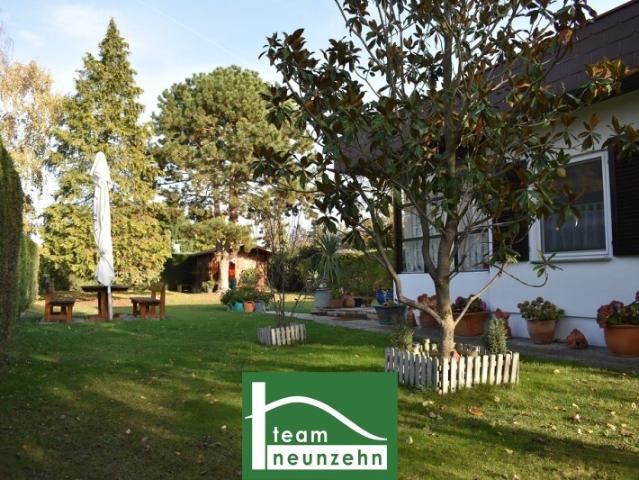 Traumhaftes Bungalow in Trausdorf: 60m² Wohnfläche, Terrasse, Carport und mehr für nur 179.000,00 €!